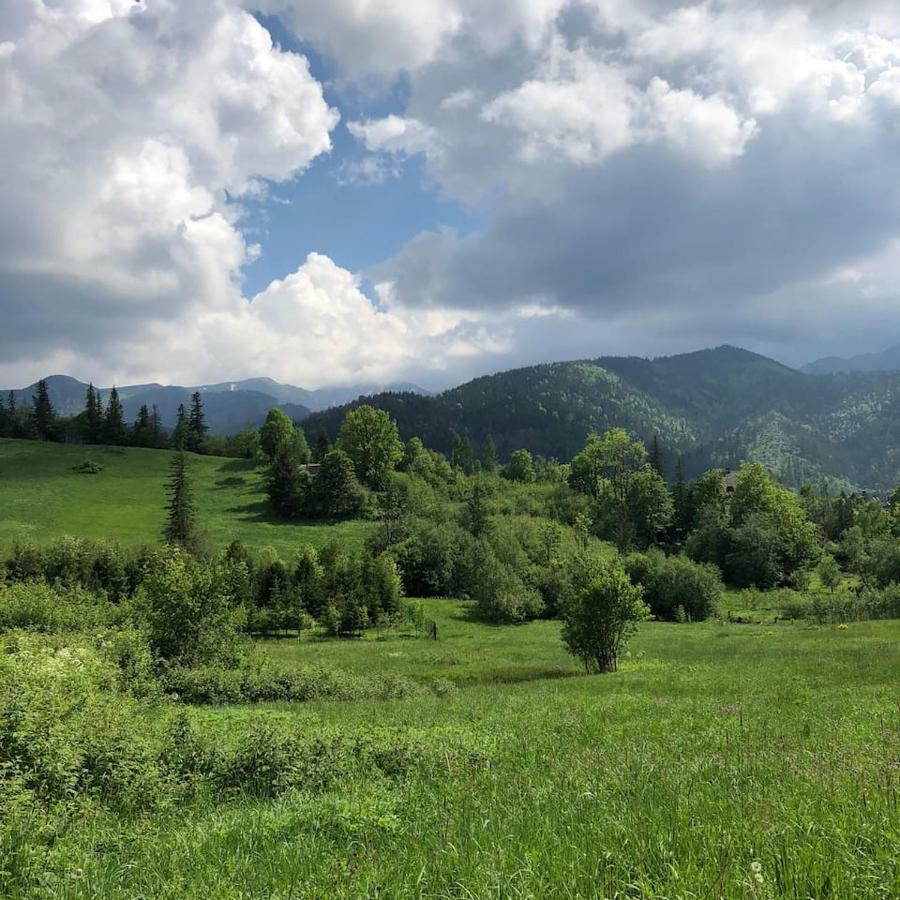 Apartament Wierchy Zakopane Zewnętrze zdjęcie