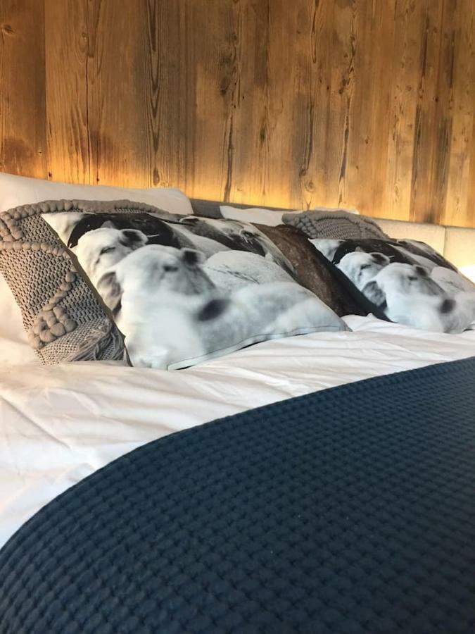 Apartament Wierchy Zakopane Zewnętrze zdjęcie